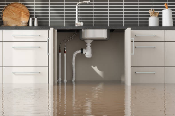  Cedaredge, CO Water damage restoration Pros