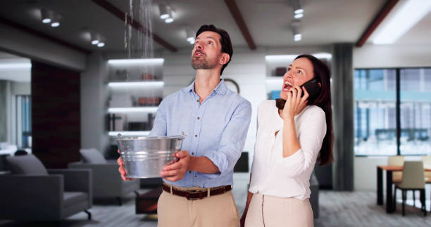 Best Flood restoration services  in Cedaredge, CO